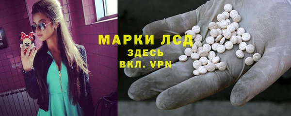 ПСИЛОЦИБИНОВЫЕ ГРИБЫ Вязники