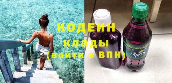 прущая мука Вяземский
