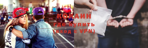 ПСИЛОЦИБИНОВЫЕ ГРИБЫ Вязники