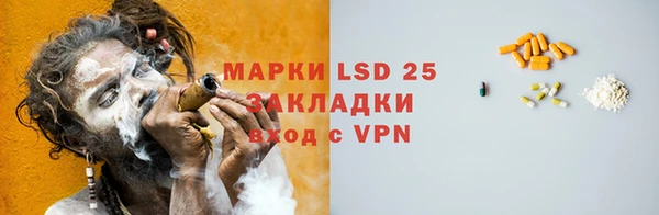 ПСИЛОЦИБИНОВЫЕ ГРИБЫ Вязники