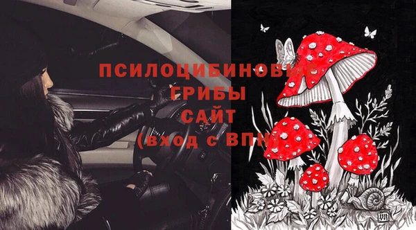 прущая мука Вяземский