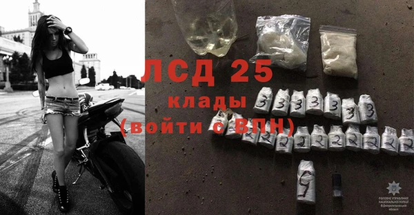 ПСИЛОЦИБИНОВЫЕ ГРИБЫ Вязники