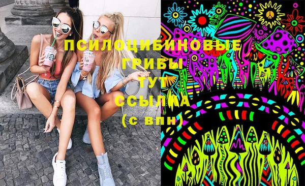 прущая мука Вяземский