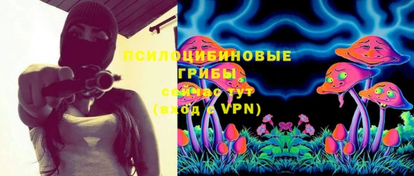 прущая мука Вяземский