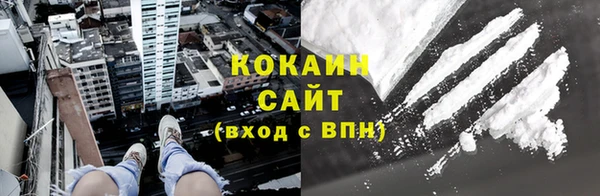 ПСИЛОЦИБИНОВЫЕ ГРИБЫ Вязники