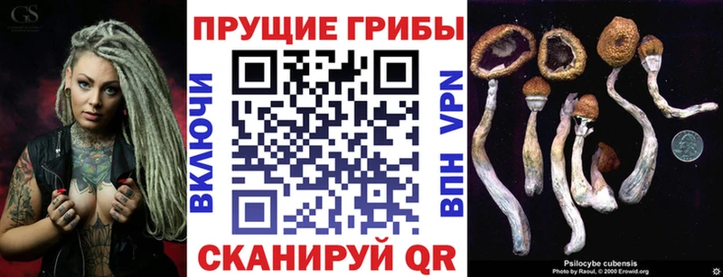 Купить где  Дудинка  Псилоцибиновые грибы Magic Shrooms 